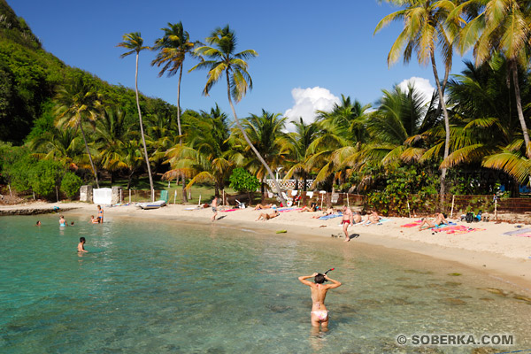 Les plus belles photos des Saintes