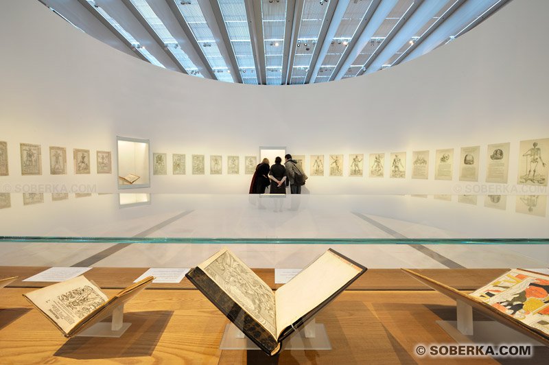 Musée du Louvre-Lens : Galerie d'exposition temporaire consacrée à de la Renaissance, Salle des livres et gravures d'anatomie