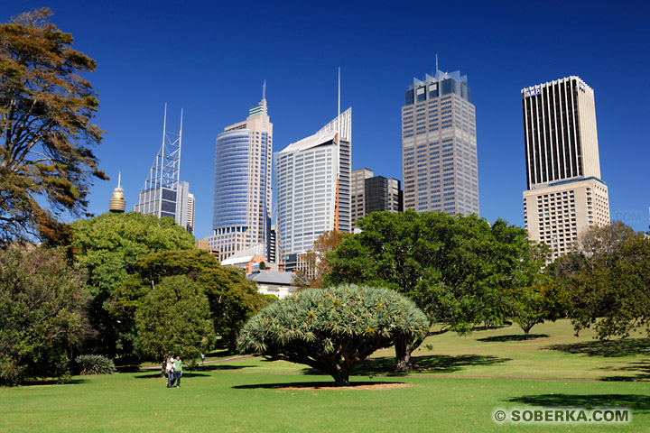 Royal Botanic Garden et gratte-ciel à Sydney