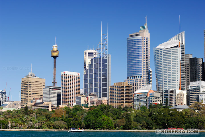 La Sydney Tower et gratte-ciel du centre ville à Sydney