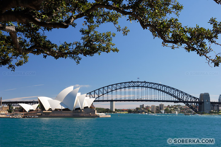 Opéra et pont de Sydney à Sydney