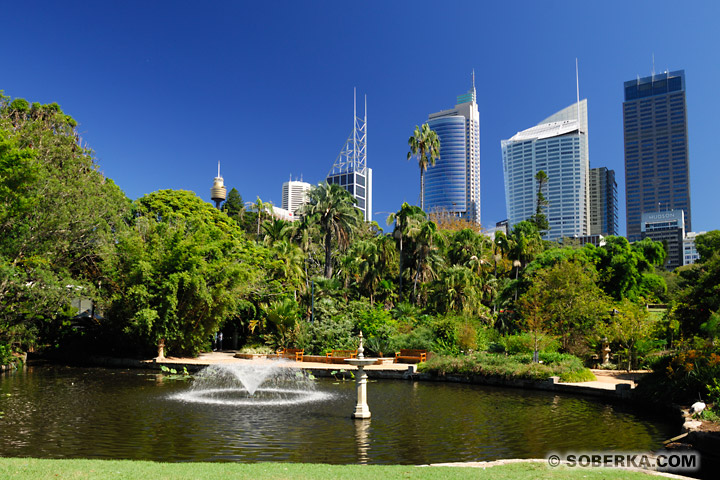 Fontaine des Royal Botanic Gardens à Sydney