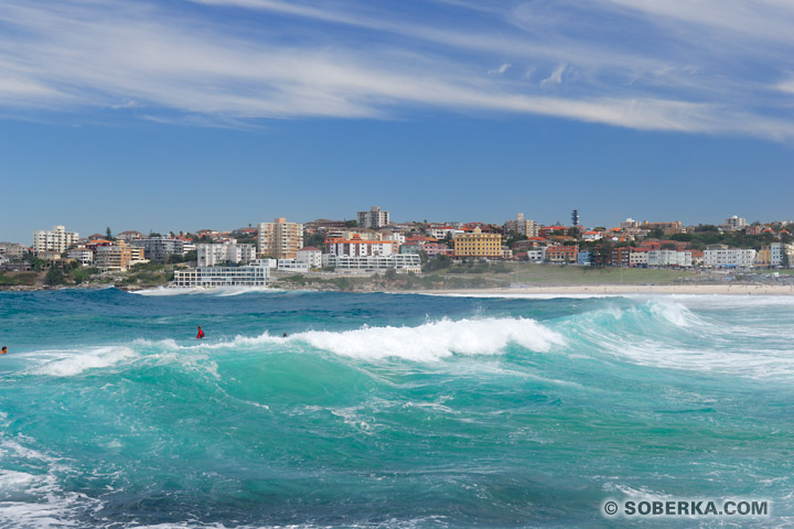 Vagues à Bondi Beach à Sydney - Bondi Beach