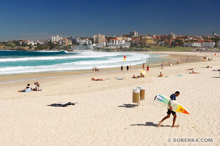 Surfeur sur la Plage de Bondi Beach à Sydney - Bondi Beach
