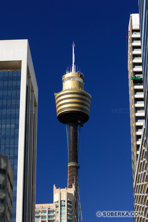 Sydney Tower à Sydney