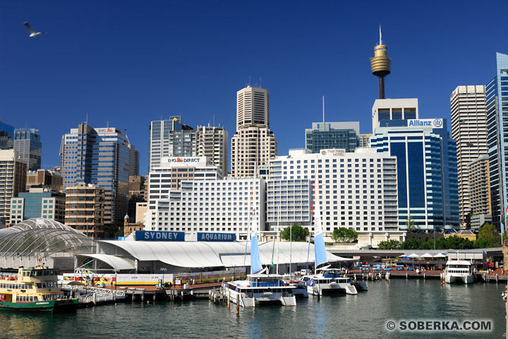 Sydney Aquarium à Sydney