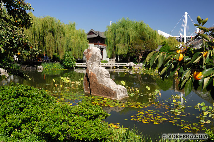 Jardin chinois à Sydney