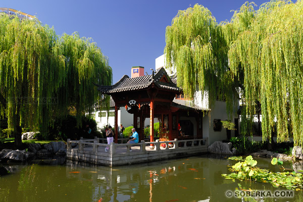 jardin chinois